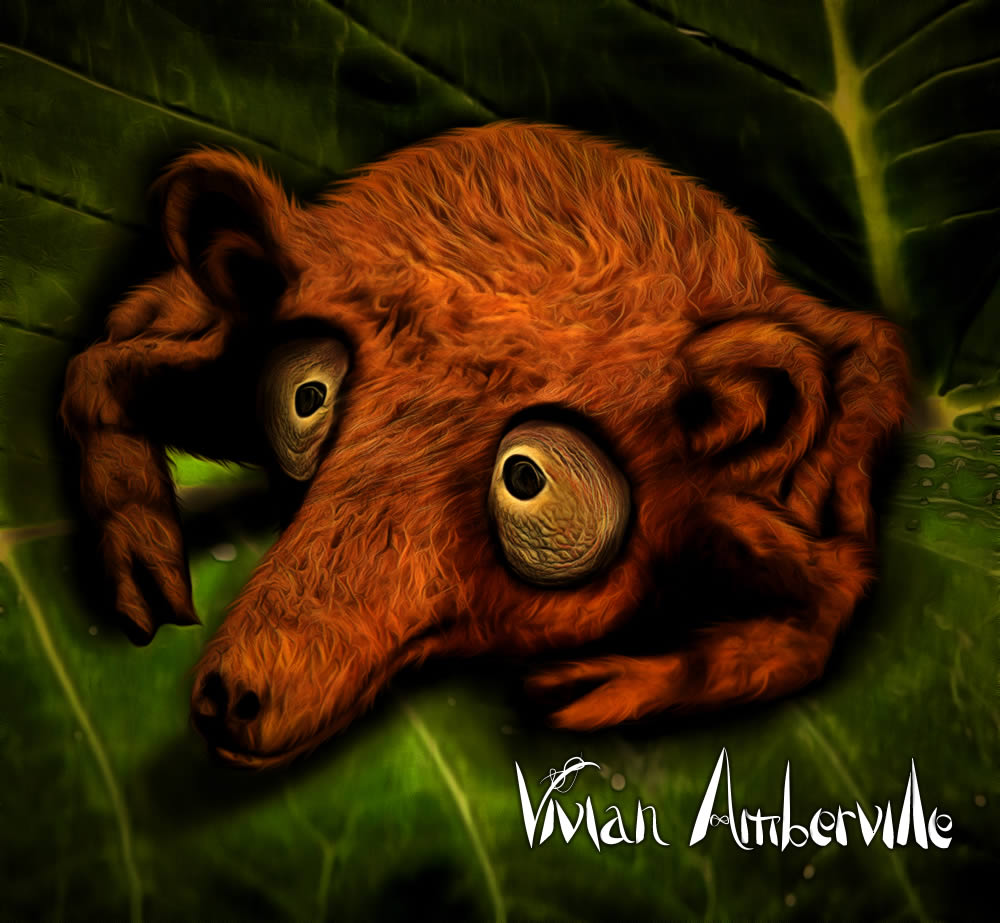 Hole-in-the-Wall is an extinct species of shape-shifting telepathic animal that used to thrive in the dark and humid forests of Ærria.